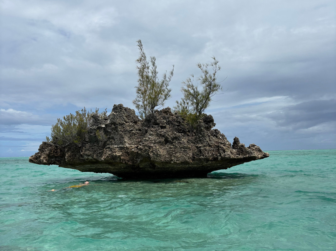 Paradisio Excursions Ile Maurice-大湾必去景点