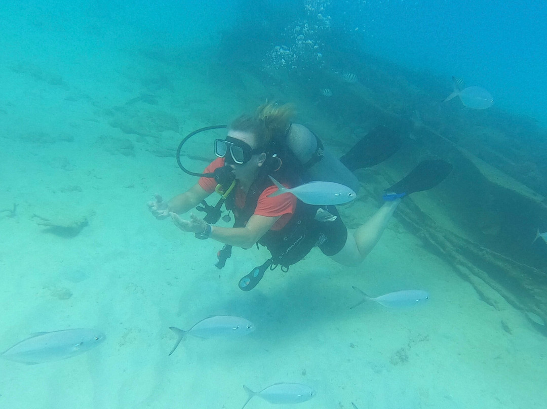 Dive Grenada-Grand Anse必去景点