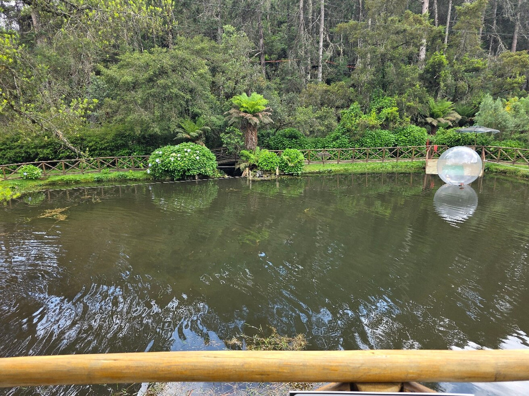 Parque Estadual Campos do Jordao-坎普斯－杜若尔当必去景点
