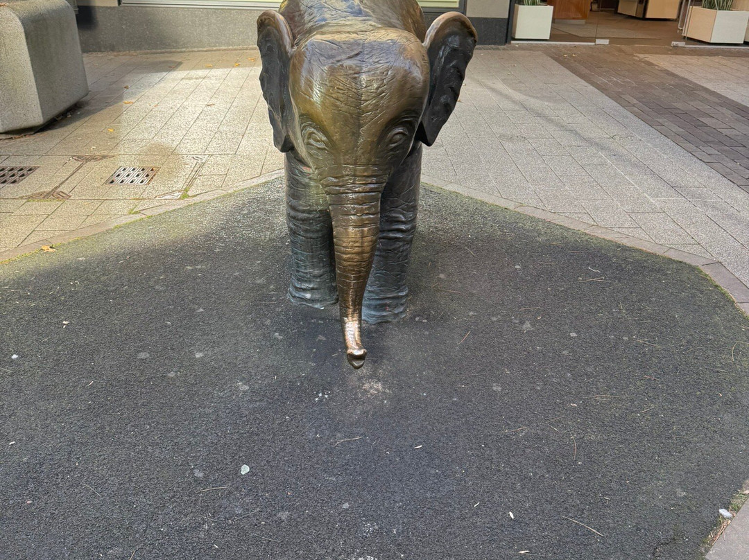 Bronzeelefant "Tuffi"-伍珀塔尔必去景点