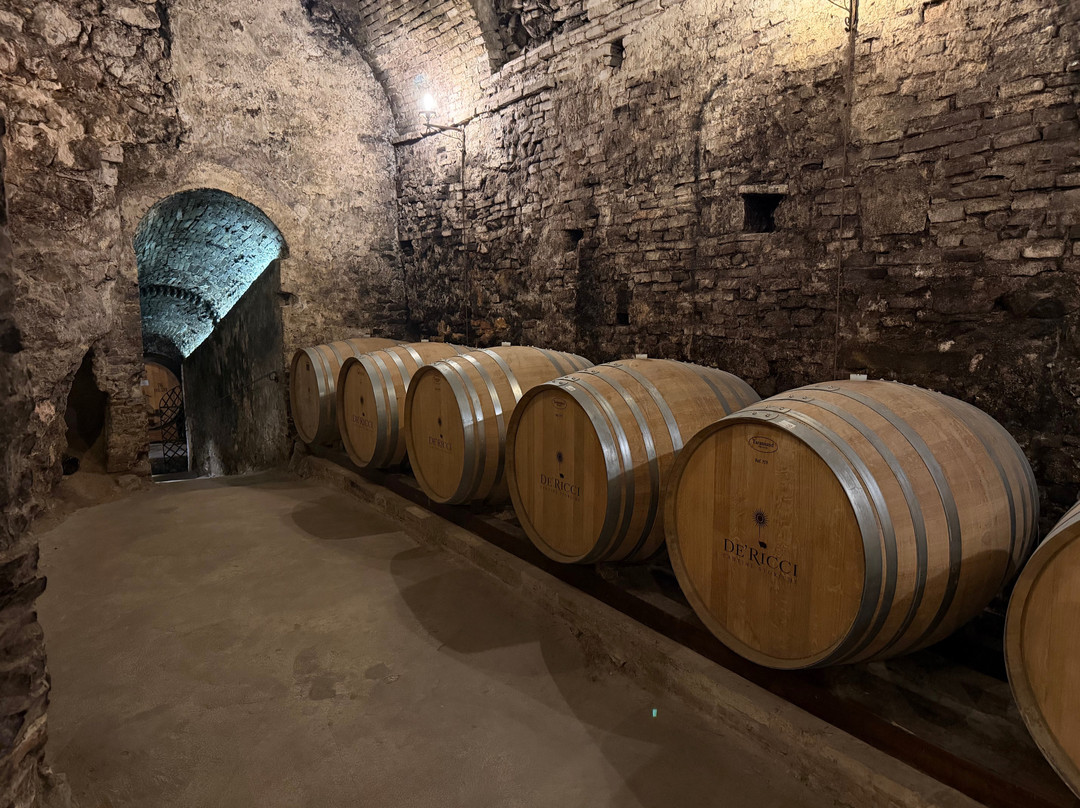 De'Ricci Cantine Storiche-蒙特普尔恰诺必去景点