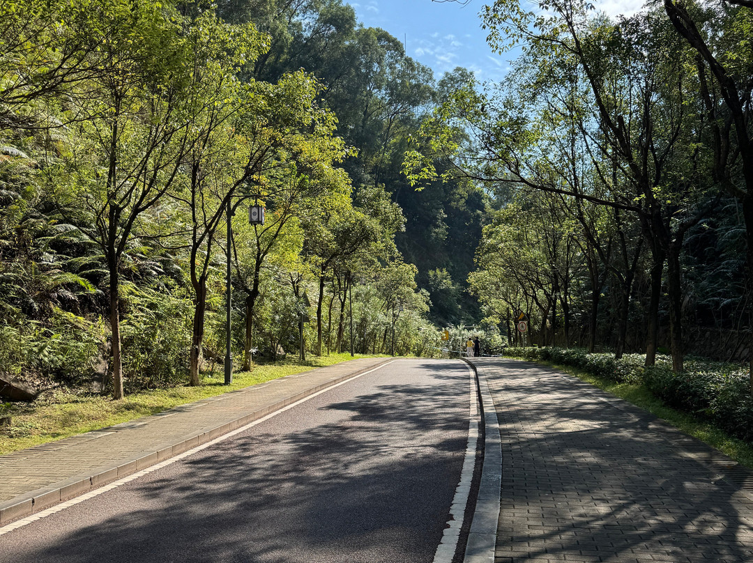 东莞虎英郊野公园-东莞市必去景点