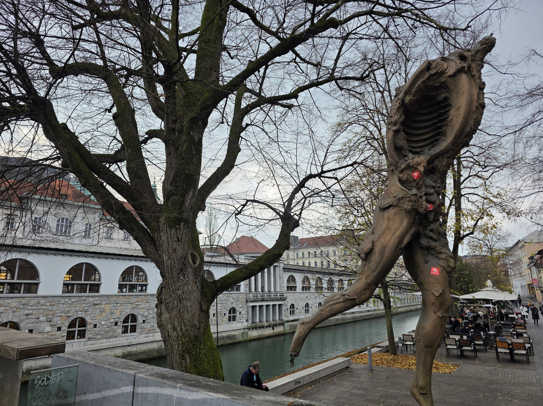 Butcher's Bridge-卢布尔雅那必去景点