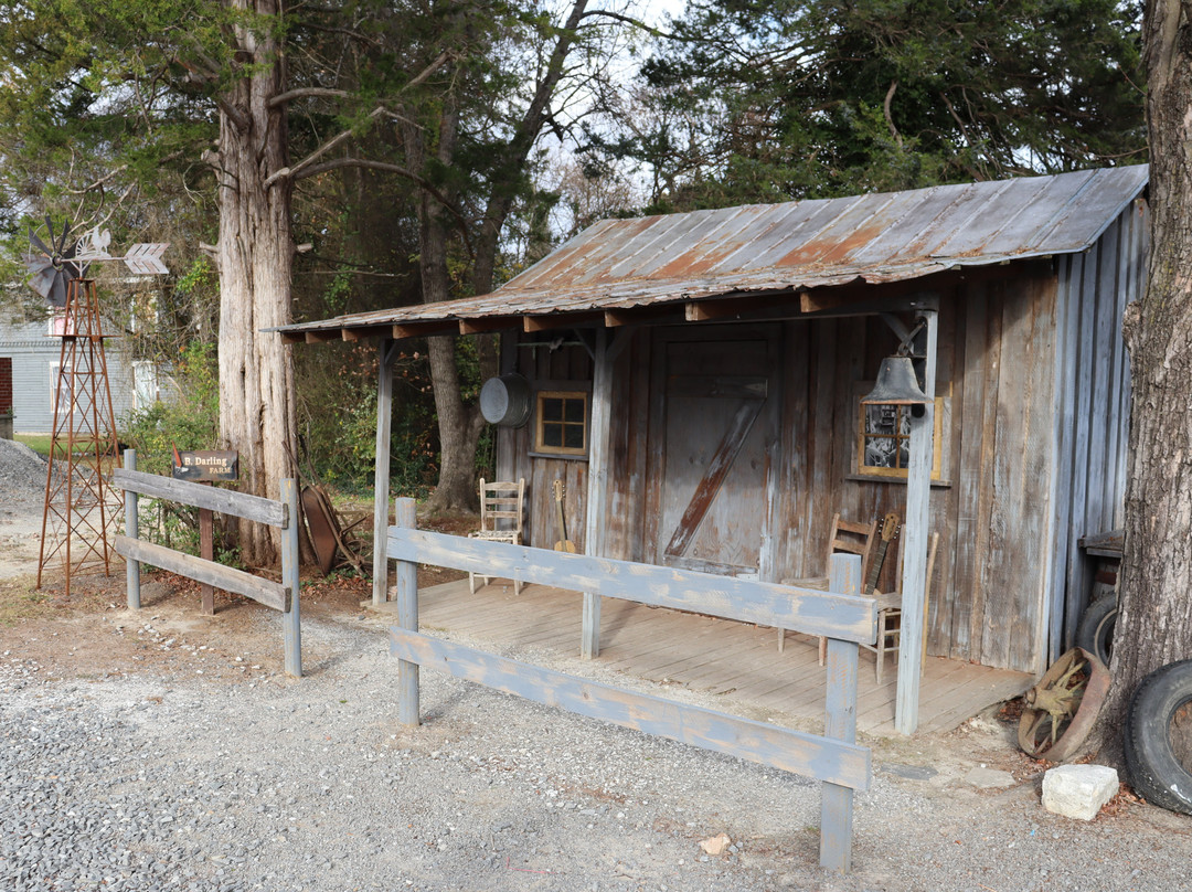 Mayberry Squad Car Tours-Mount Airy必去景点