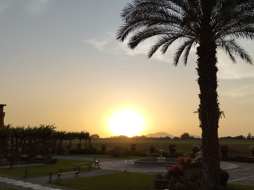 Hotel Viñas Queirolo主图