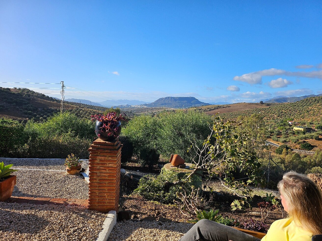 巴尔韦德庄园酒店主图