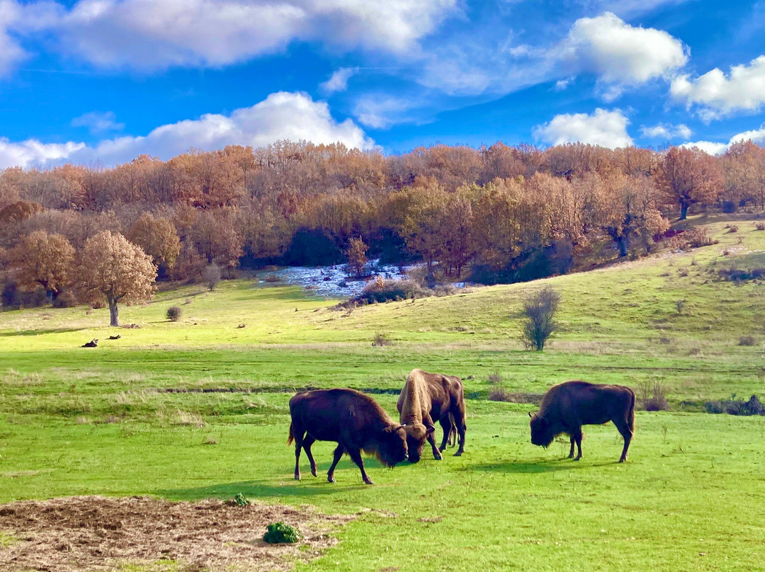 Paleolitico Vivo-布尔戈斯省必去景点