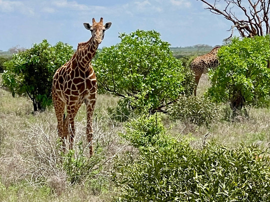 Boomtrail Tours And Travels-蒙巴萨必去景点