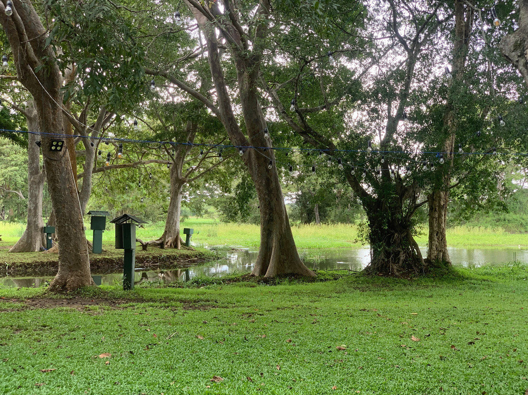 肉桂哈巴拉纳酒店主图