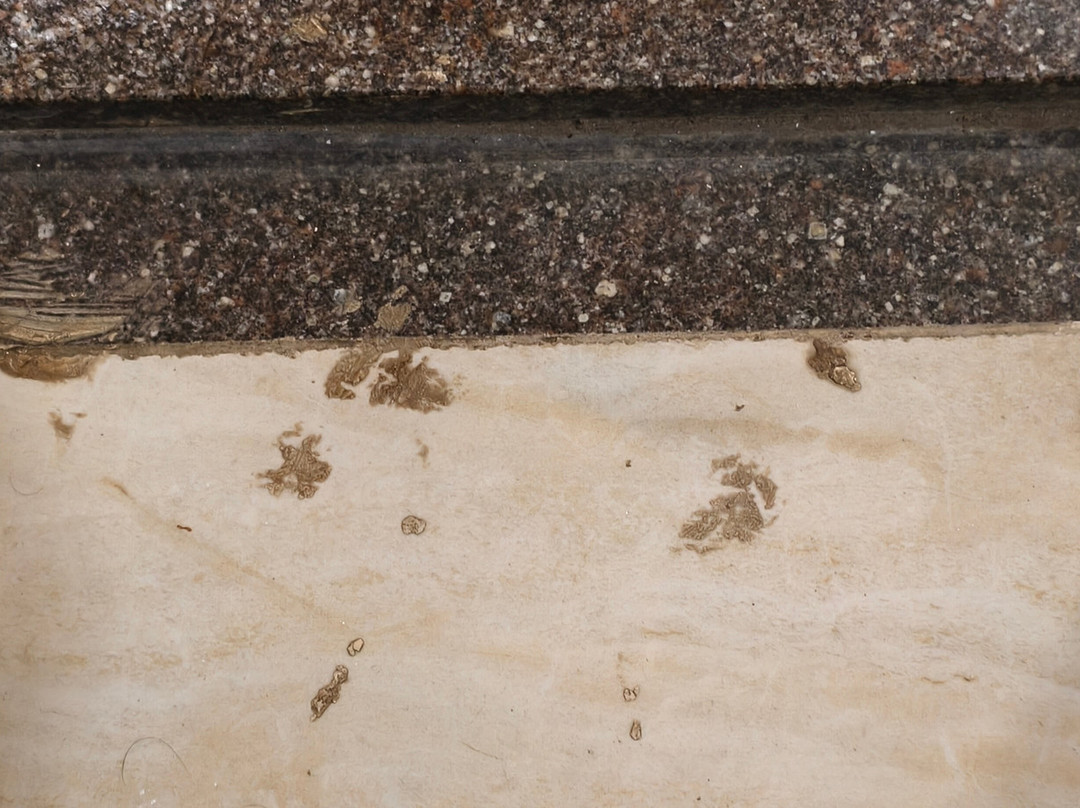 Hotel Rangoli Pearl主图