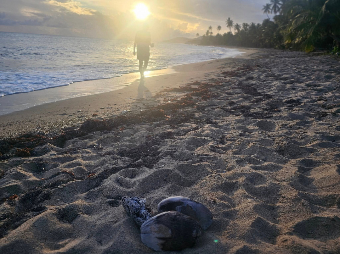 Playa El Cocal-Yabucoa必去景点