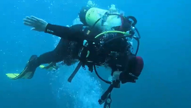 Cipreia Dive Club-塞新布拉必去景点