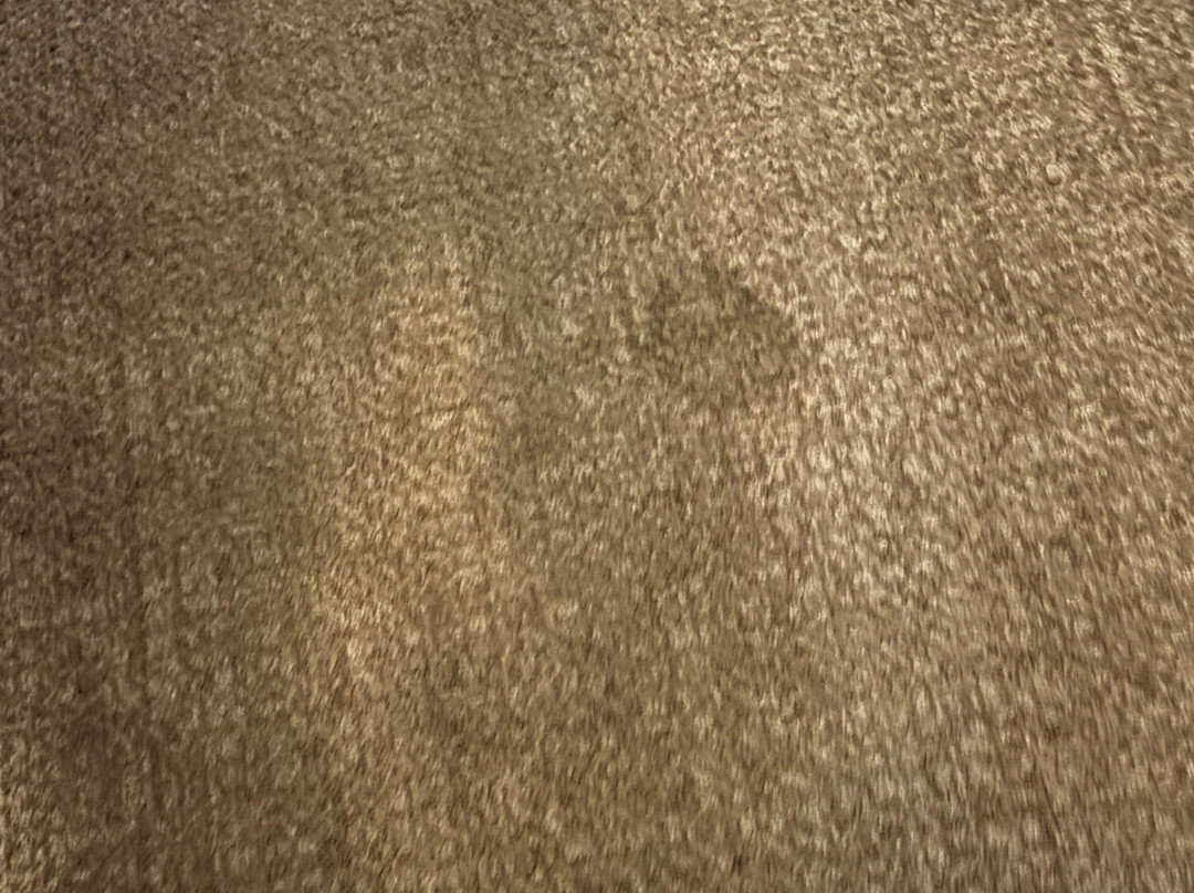 Home2 Suites by Hilton Bowling Green主图