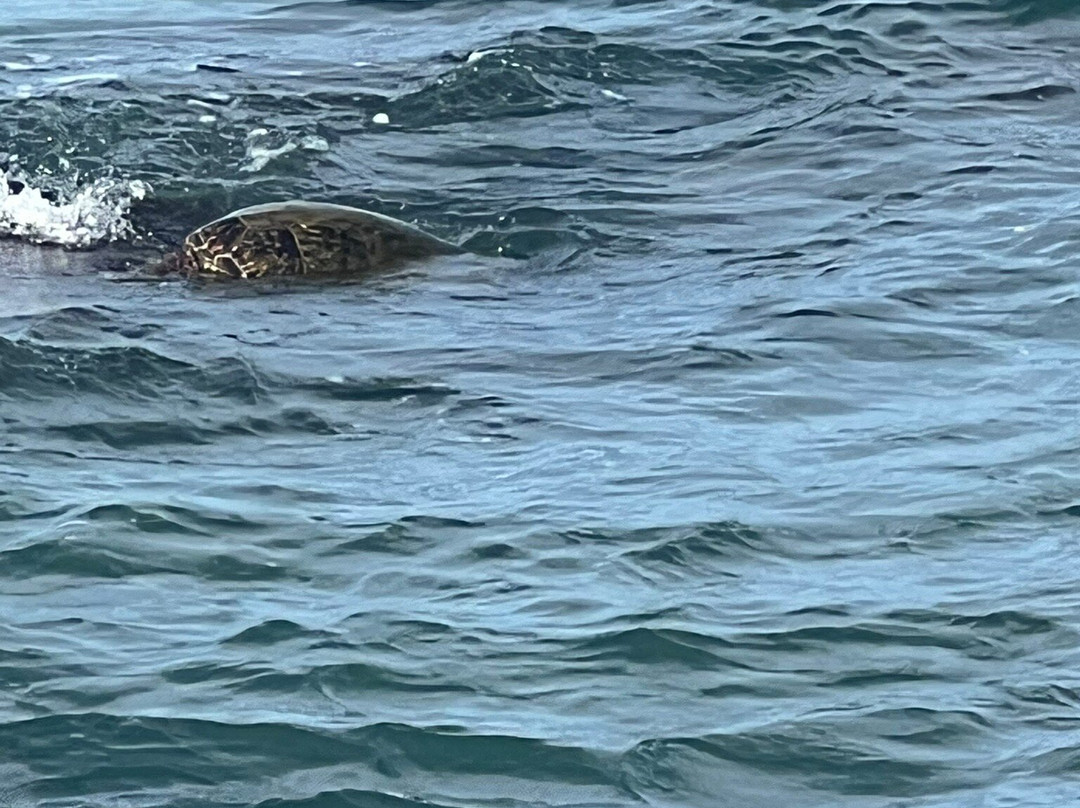 Hanakao'o Beach Park-拉海纳必去景点