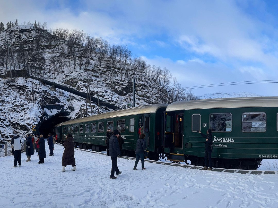 Kjosfossen Waterfall-Myrdal必去景点