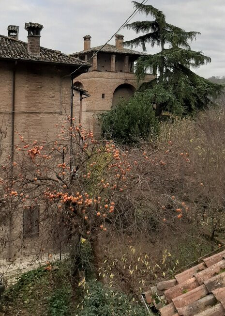 Torrione Farnese di Castell'Arquato-Castell'Arquato必去景点