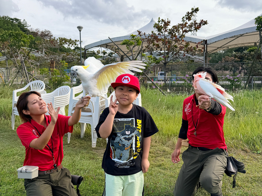 名护Neo自然动植物公园-名护市必去景点