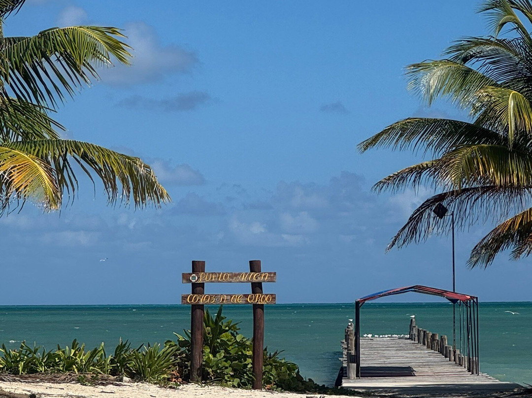 Boutique Tours Mexico-普拉亚德尔卡曼必去景点