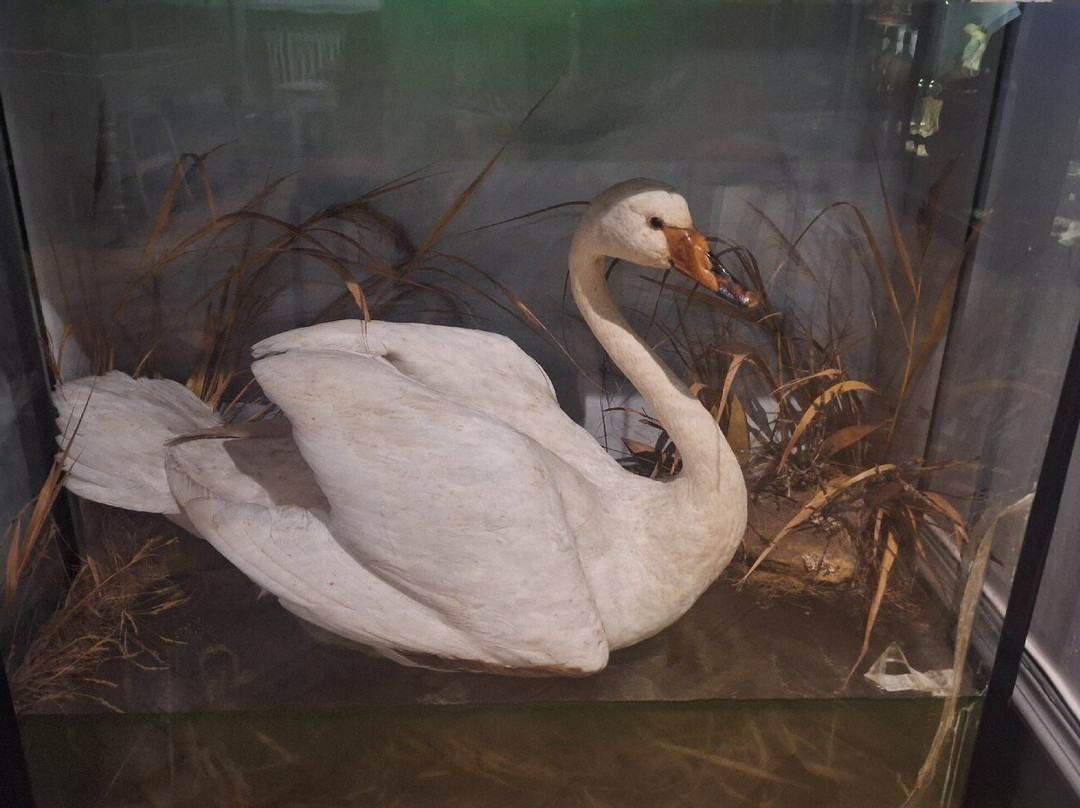 West Highland Museum-威廉堡必去景点