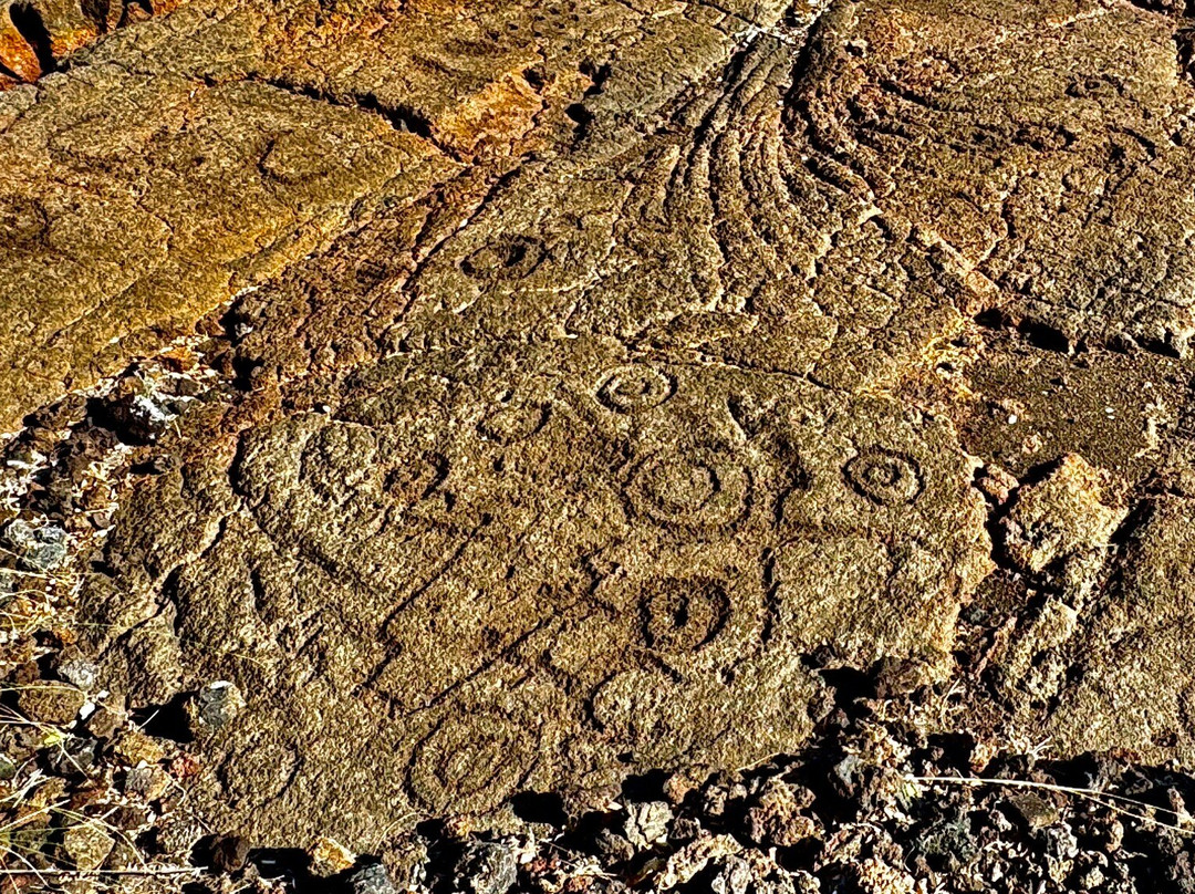 Waikoloa Petroglyph Preserve-威可洛亚必去景点
