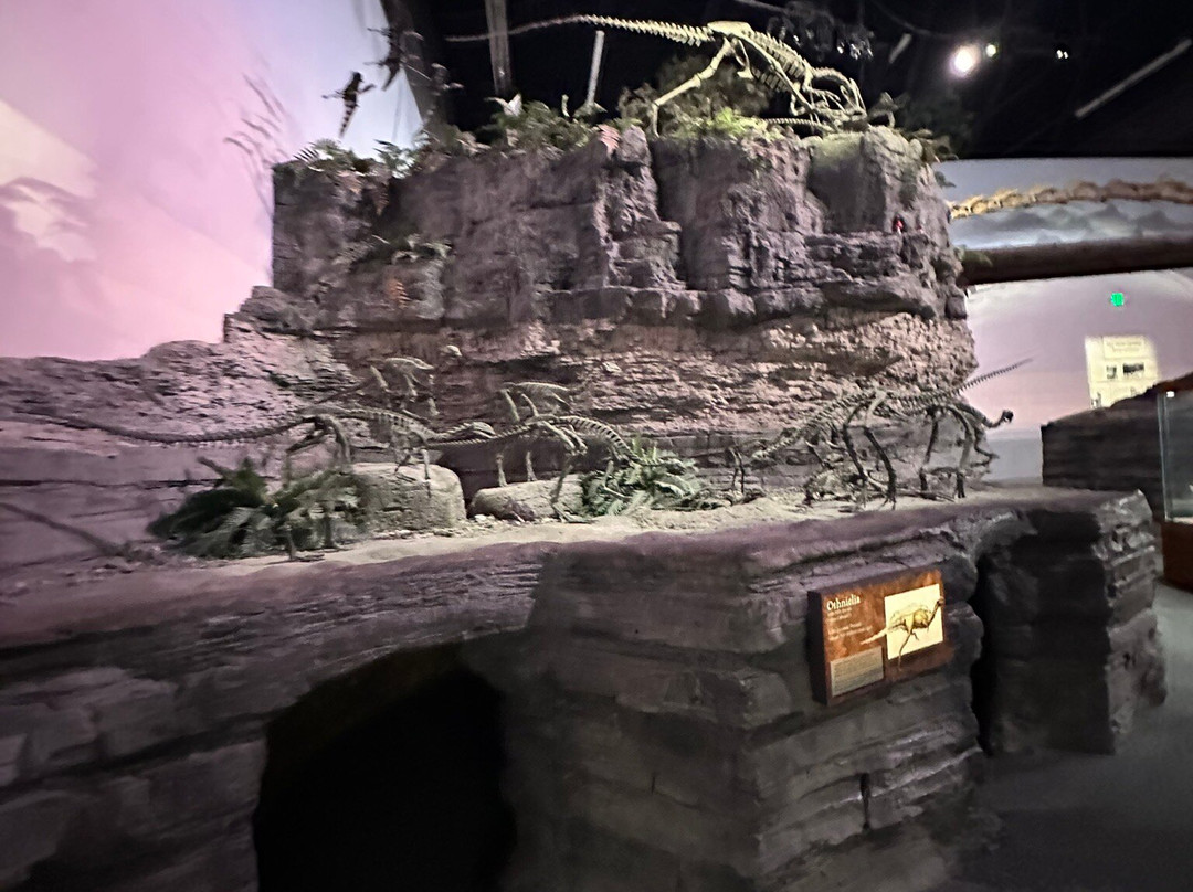 Mountain America Museum of Ancient Life-李海必去景点