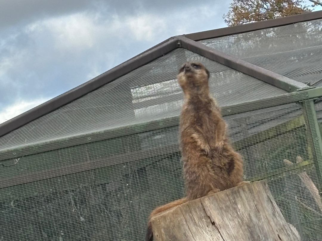 比尔公园-雷丁必去景点