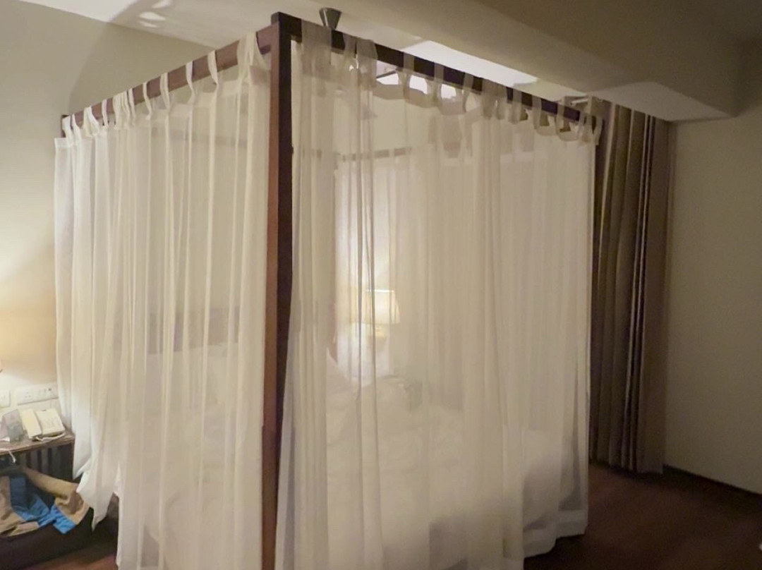 8fold  By Larisa, Shimla主图