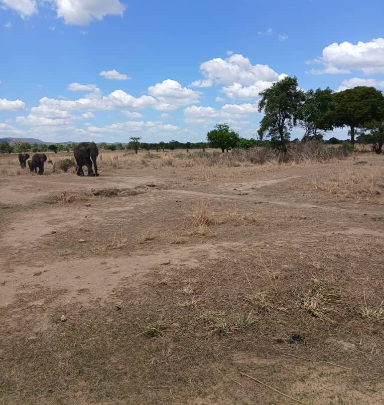 Safari 56 Limited-Dar es Salaam必去景点