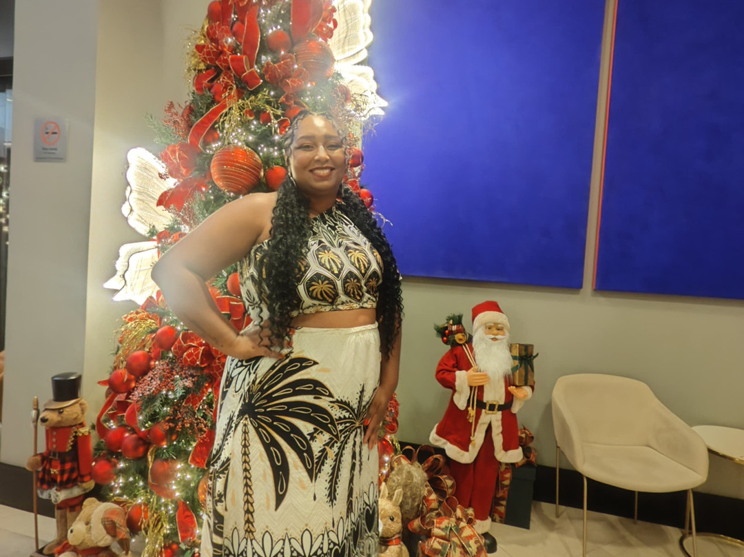 Hotel Araucária Plaza主图