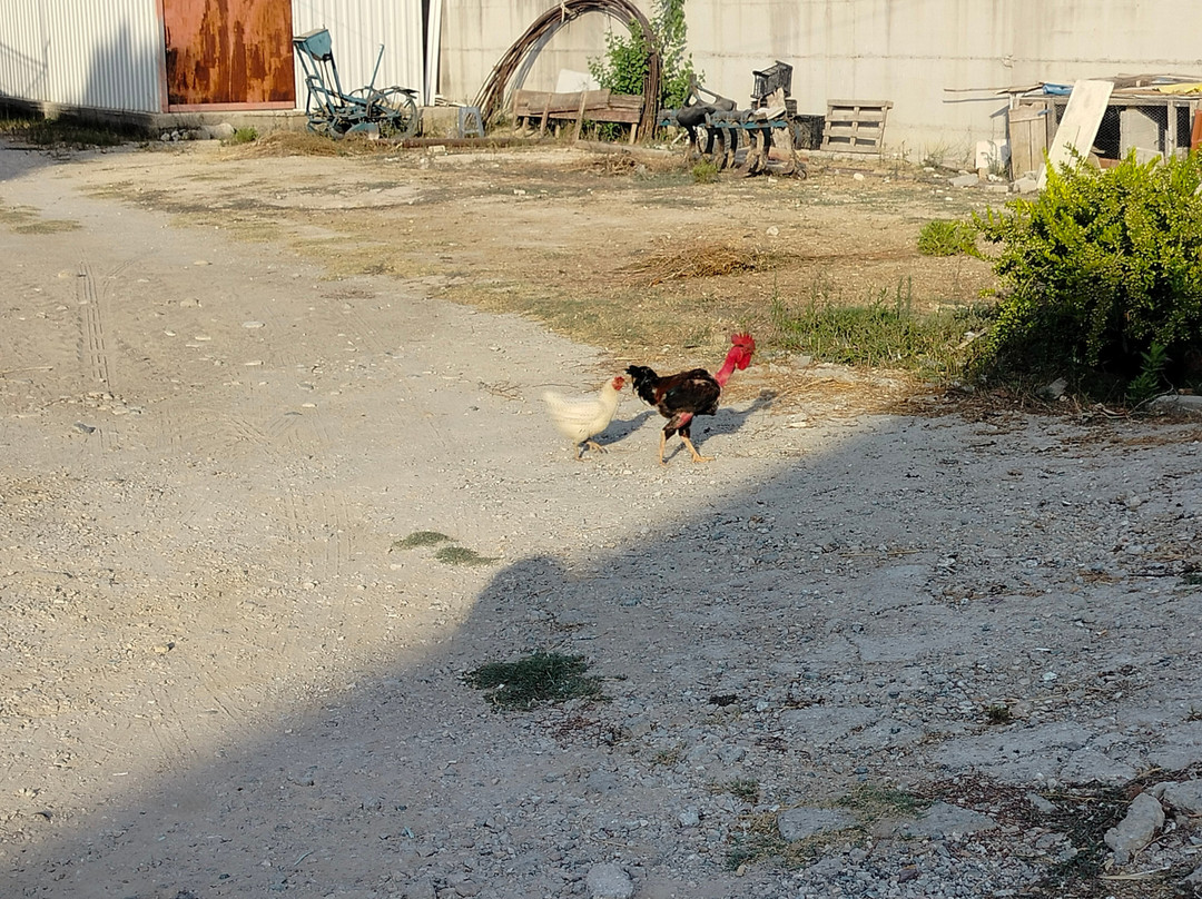 Aperion Beach Hotel Antalya主图