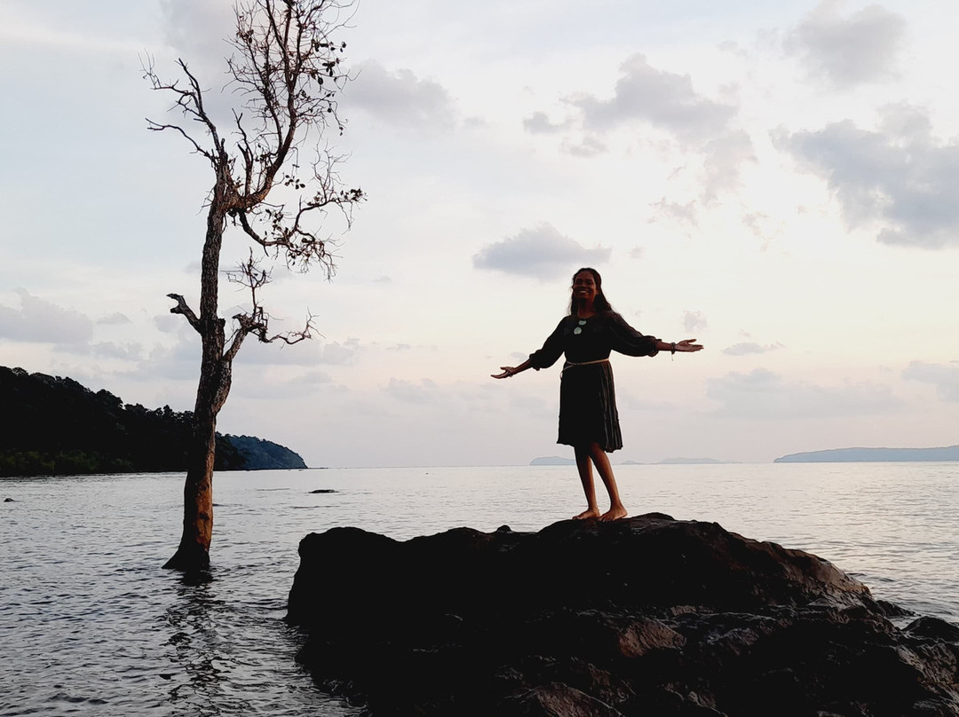 Ross Tours & Travels-布莱尔港必去景点