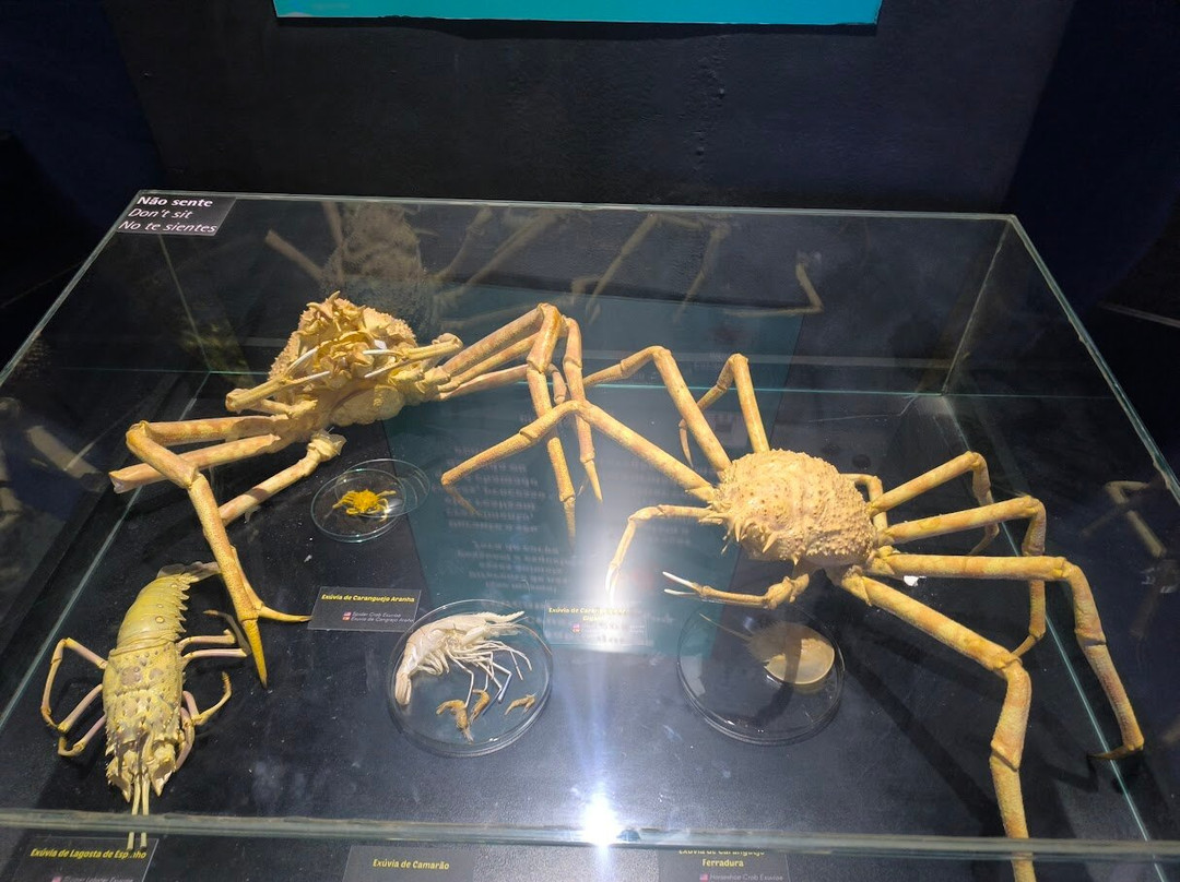 AquaRio-里约热内卢必去景点