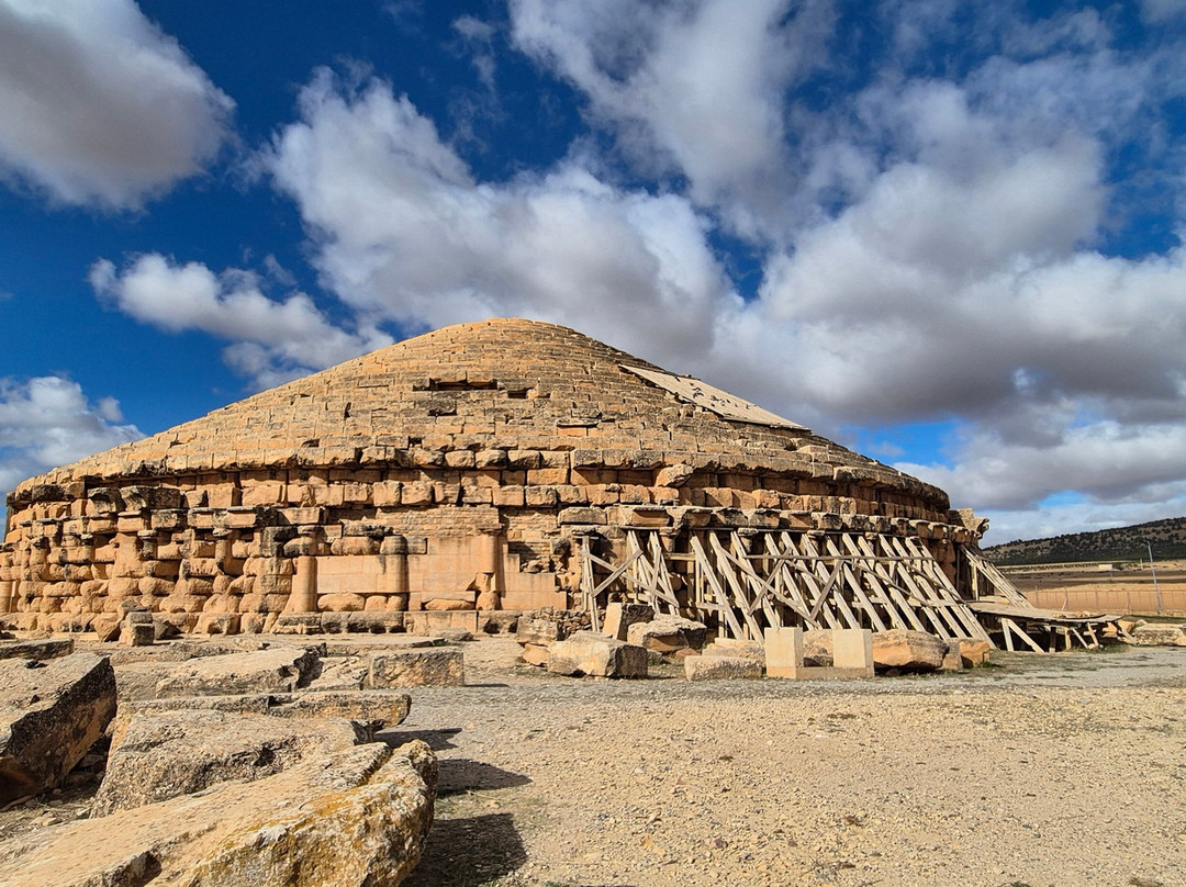 Fancyellow Travel Services-阿尔及尔必去景点