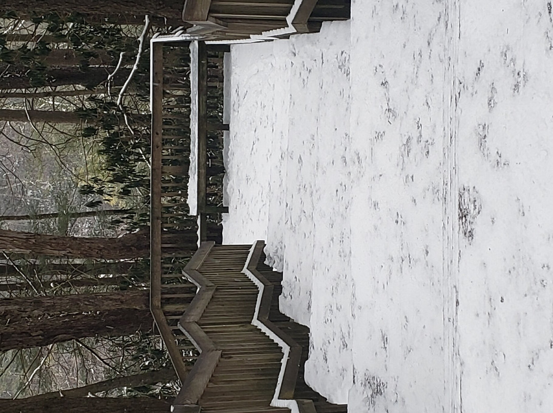 Blackwater Falls State Park-戴维斯必去景点