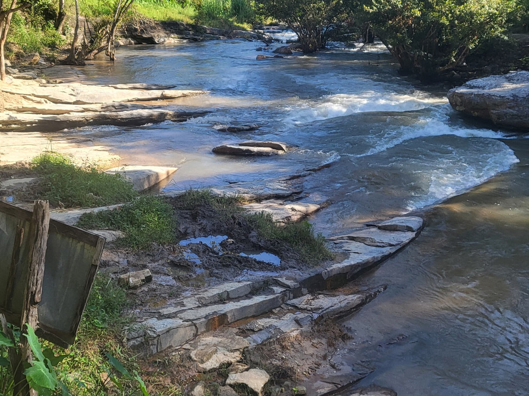 Chailai Orchid-清迈必去景点