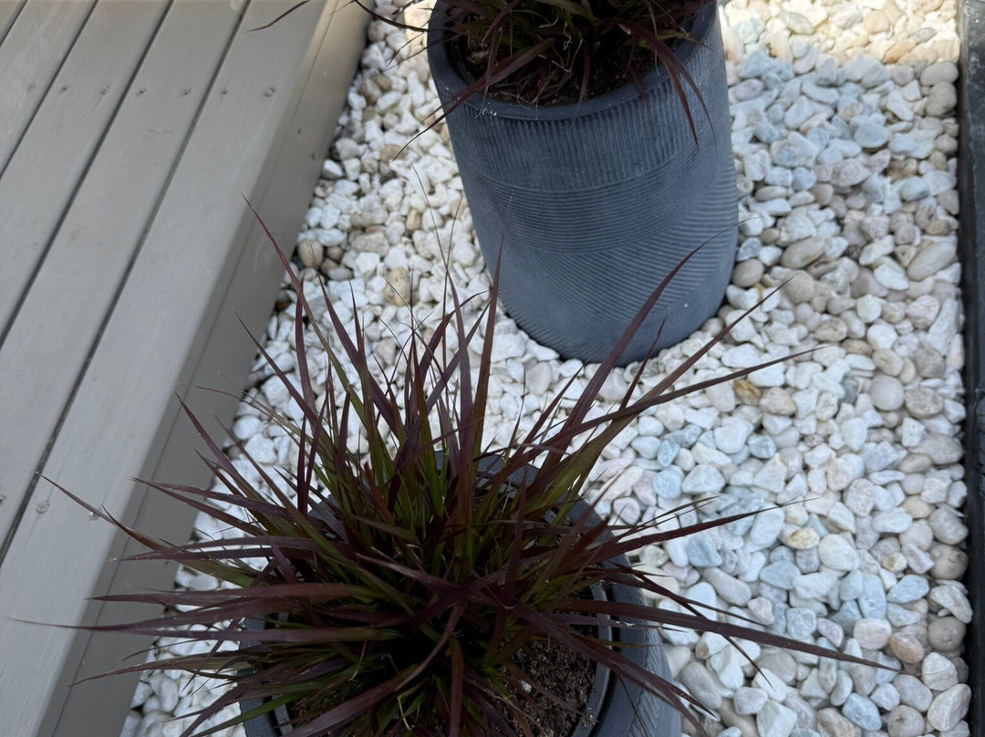 Distillery Botanica-Erina必去景点