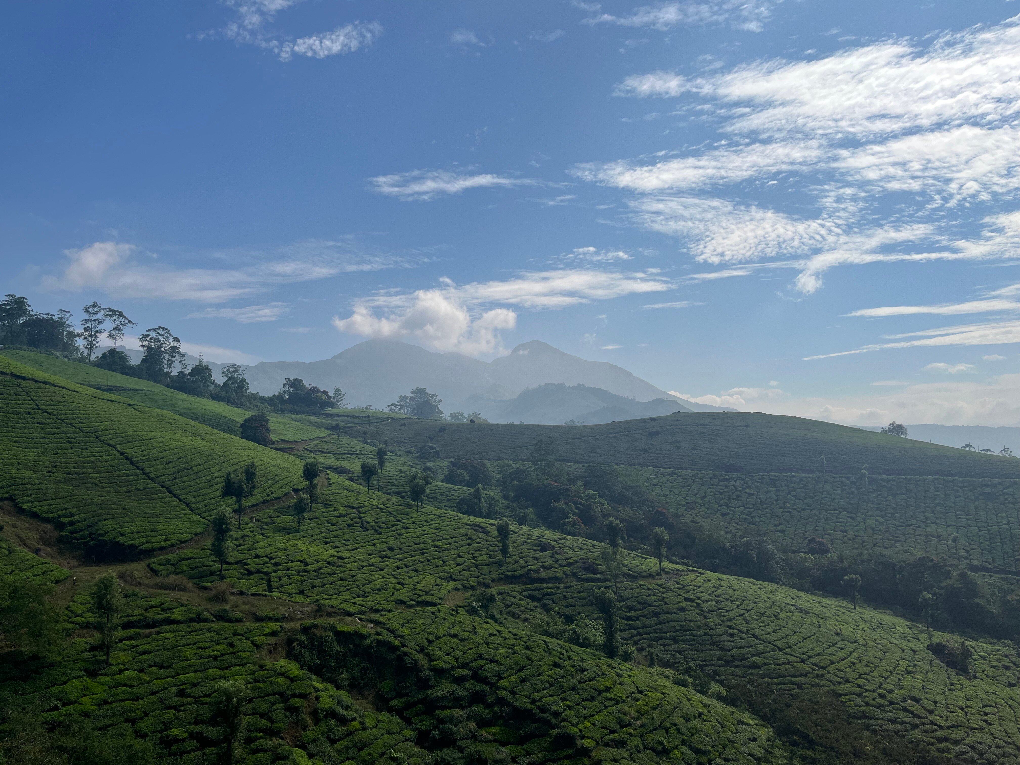 Parakkat Nature Hotels & Resorts-官方