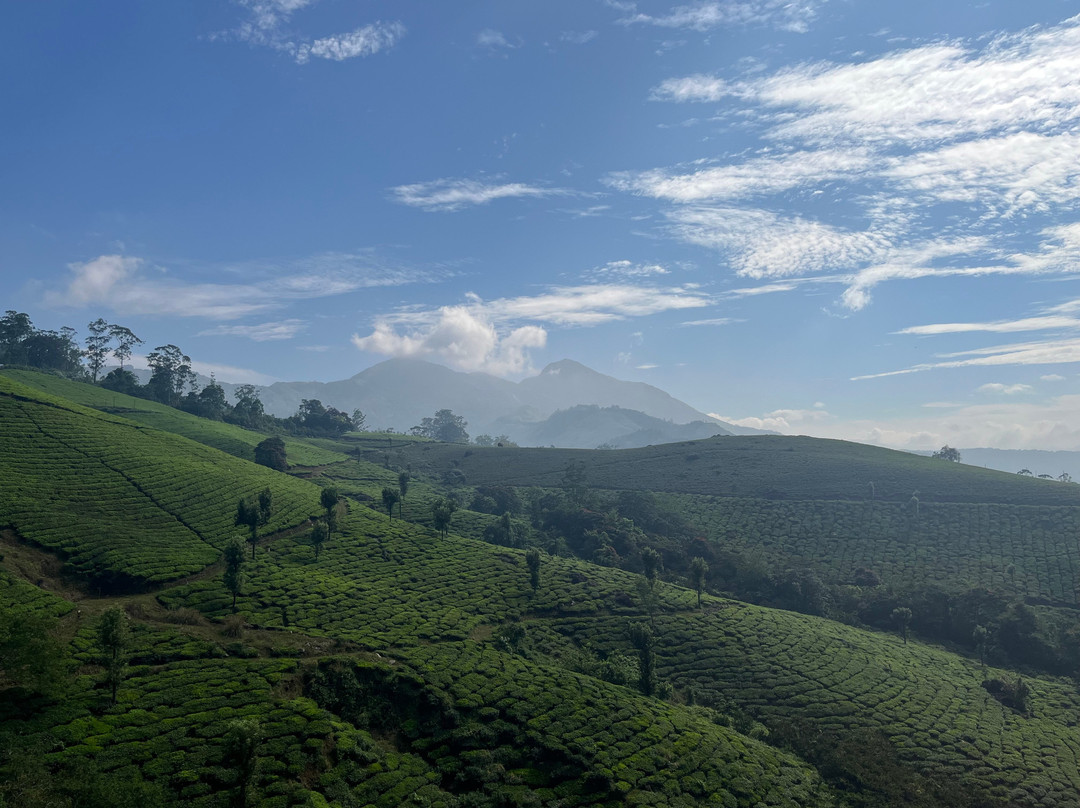 Parakkat Nature Hotels & Resorts主图