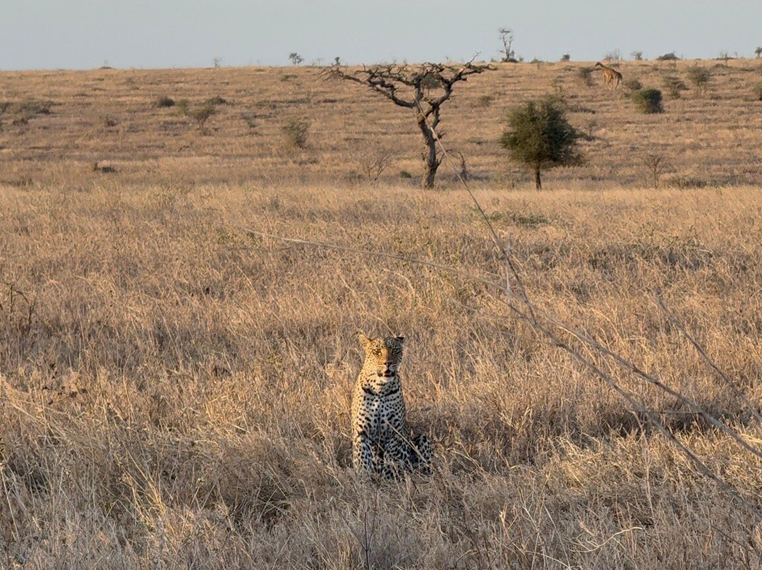 Nature's Land Safaris & Rentals-姆万扎必去景点