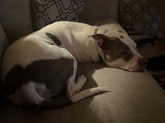 Benton Park Inn主图