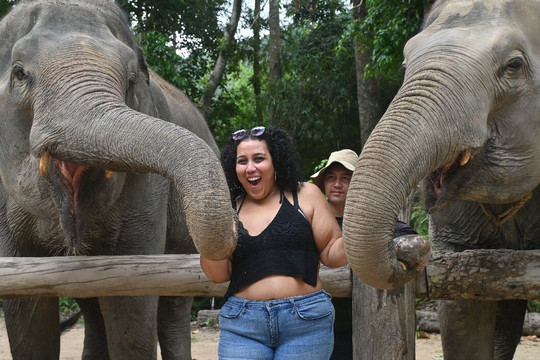 Elephant Jungle Sanctuary Samui-波普特必去景点