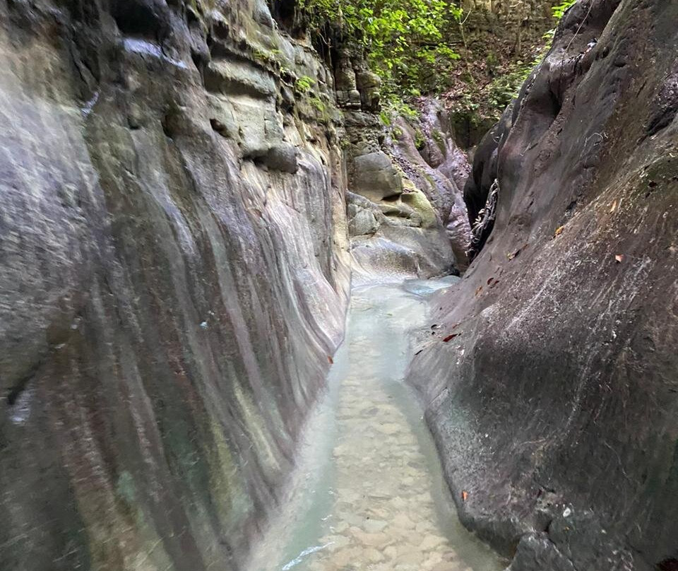 Country World Adventure Park-普拉塔港必去景点