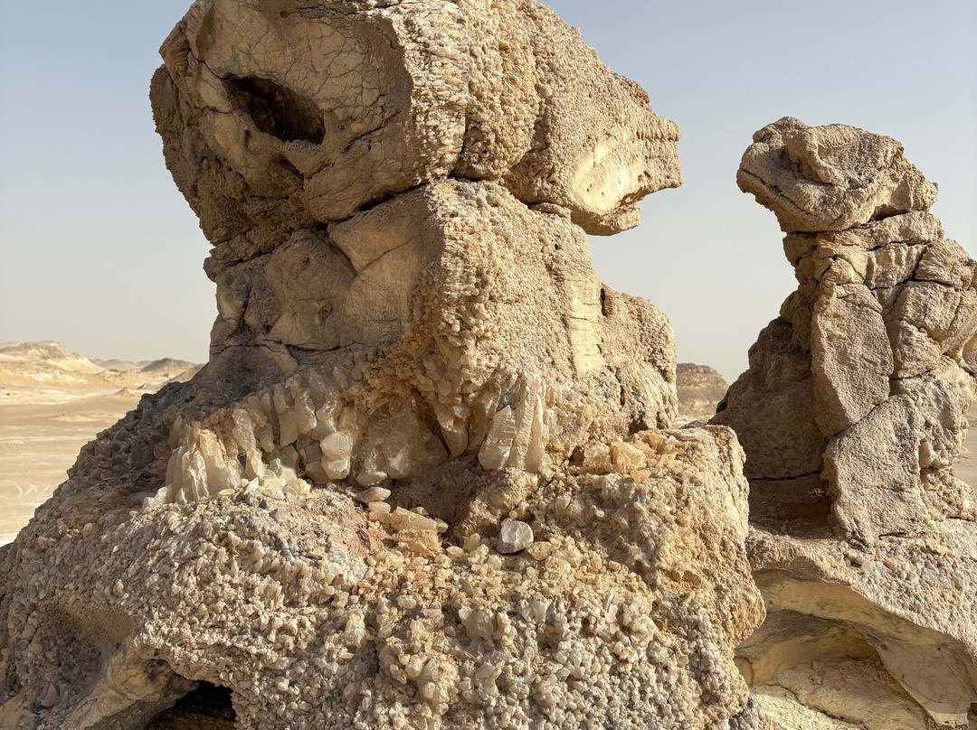 white desert travel-Bahariya Oasis必去景点