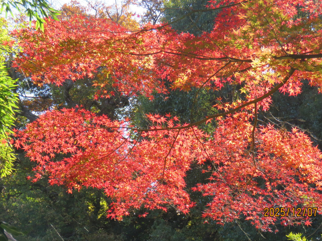 Jufukuji Temple-镰仓市必去景点