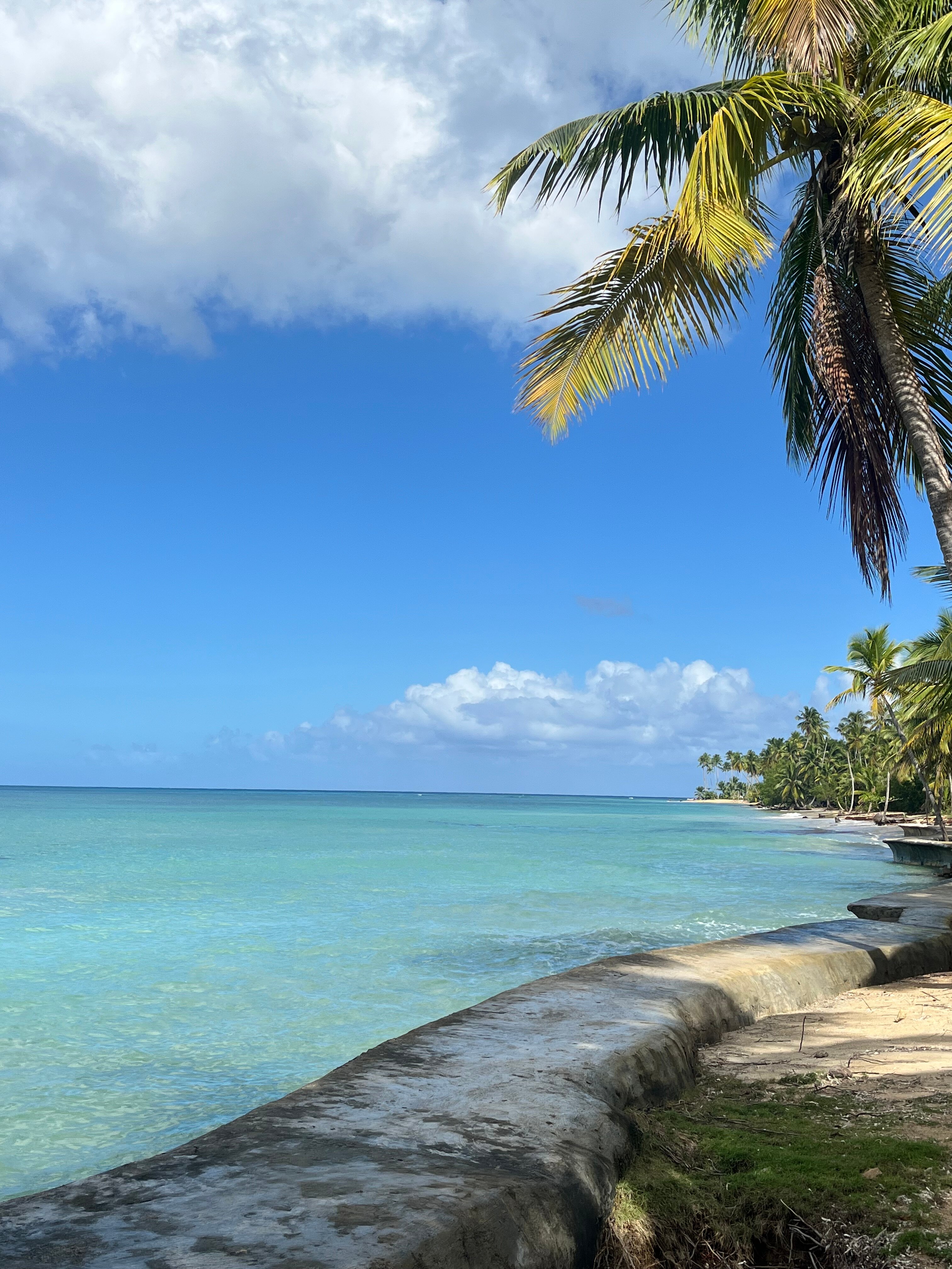 Viva V Samana By Wyndham A Trademark Adults All Inclusive-泳池