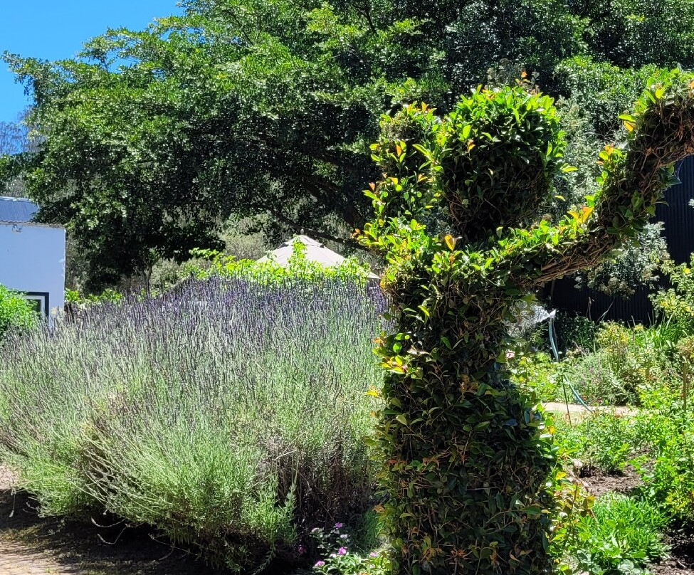 Old Nick Village-普利登堡湾必去景点