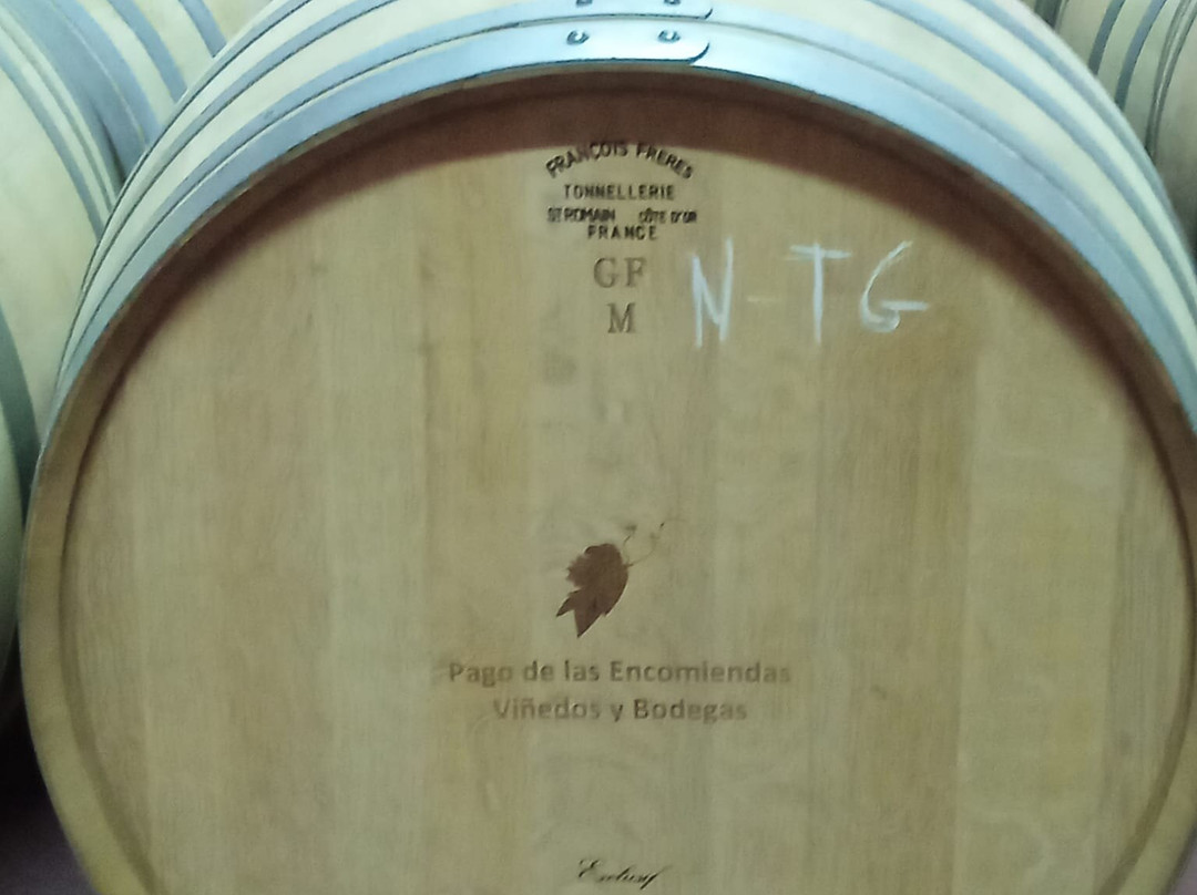Bodega Pago de Las Encomiendas-Villafranca de los Barros必去景点