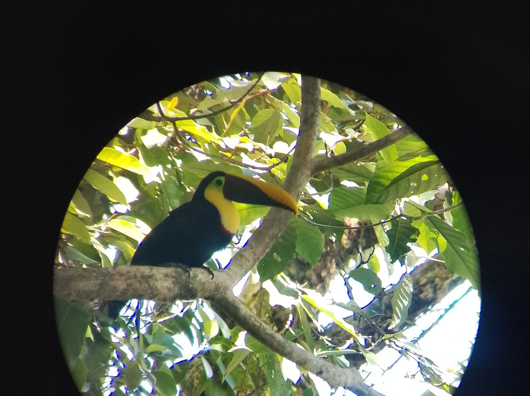 Tropical Escapade-果菲托必去景点