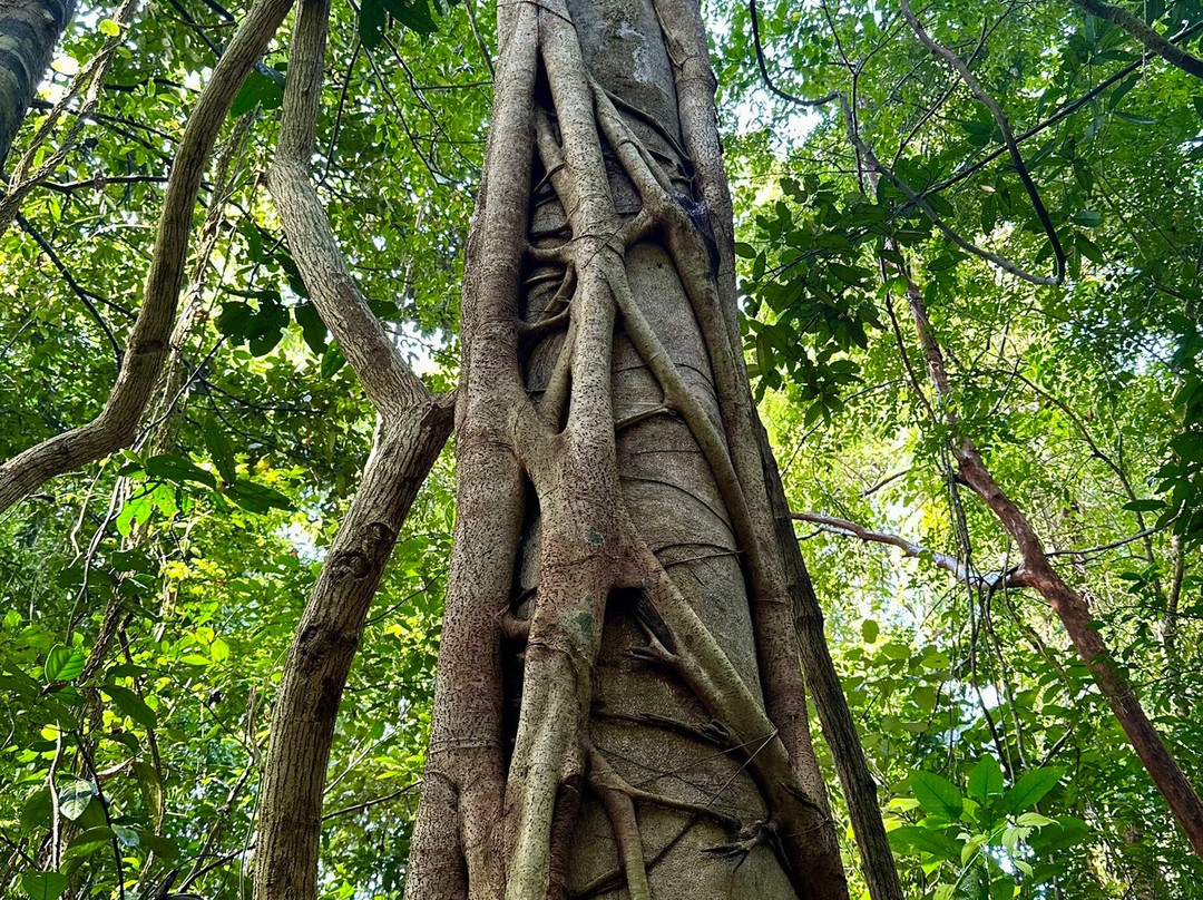 Crocodile Lake-Cat Tien National Park必去景点