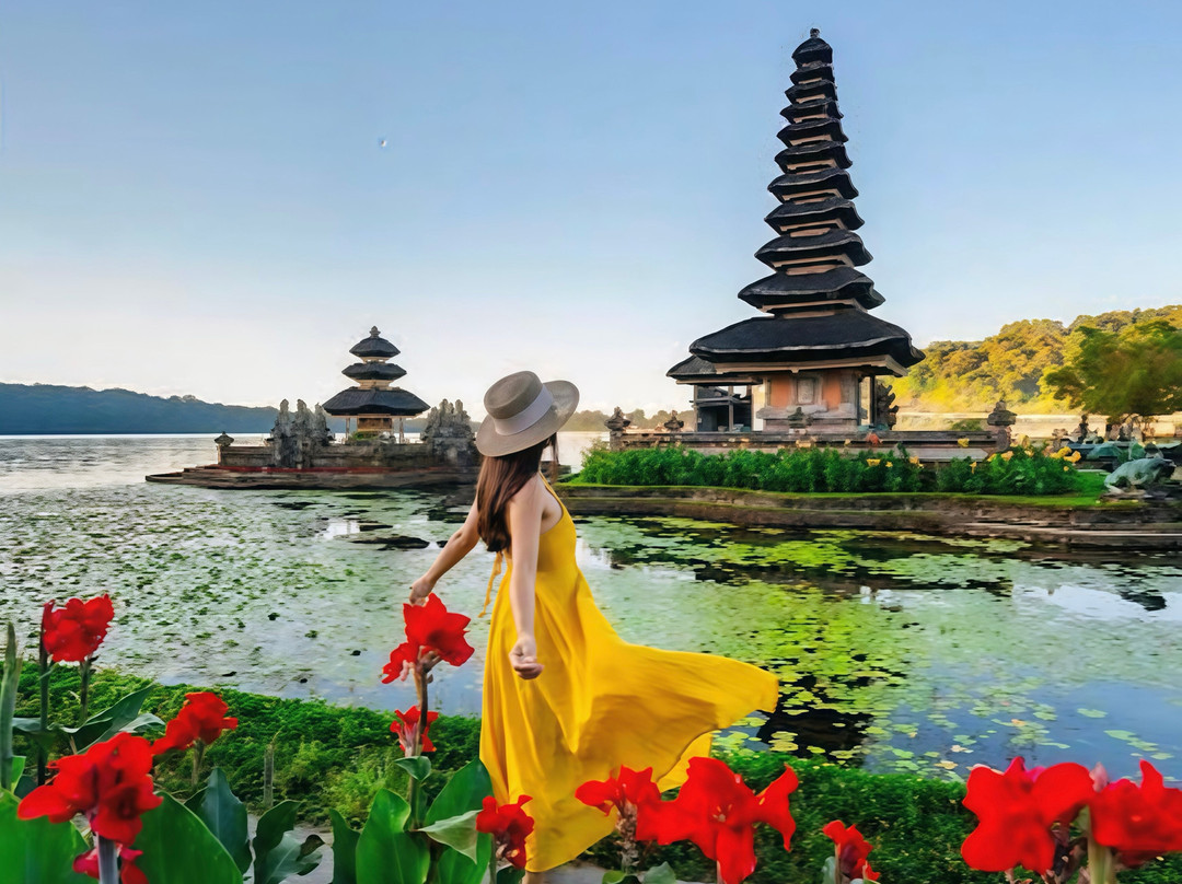 Best Ubud Driver-乌布必去景点